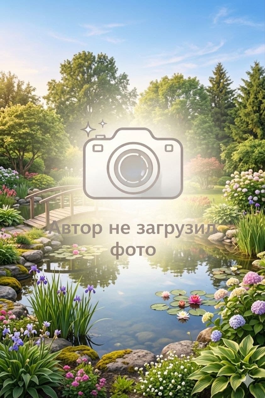 Земельный участок 6 сот., деревня Александровка