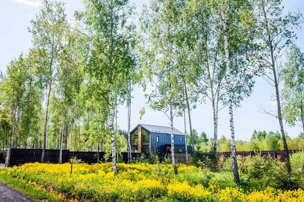 Участок B19, 10 соток, луговой — КП Бекетово Парк, Ступино - фото 1
