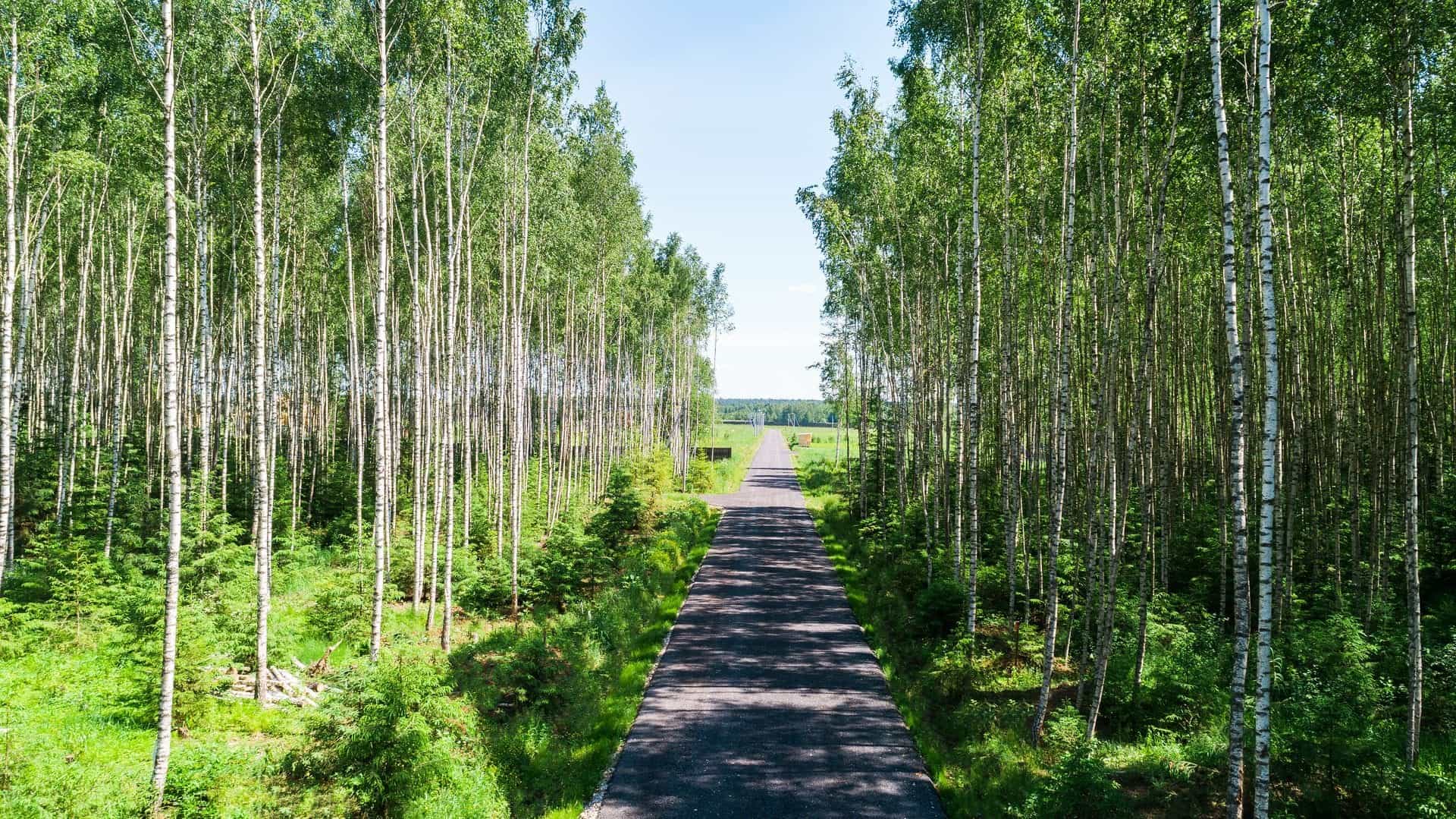 Участок C8, 10 соток, луговой — КП Бекетово Парк, Ступино - фото 3