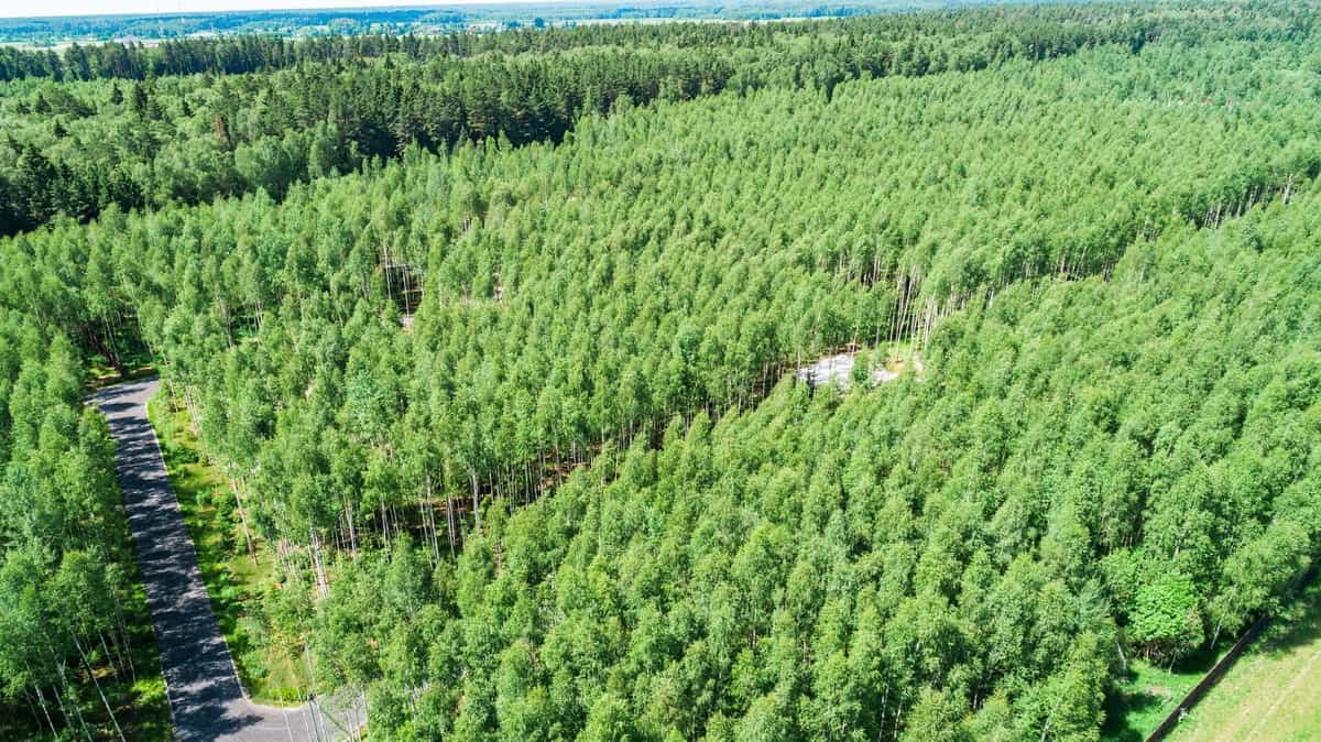 Участок C7, 10 соток, луговой — КП Бекетово Парк, Ступино - фото 1