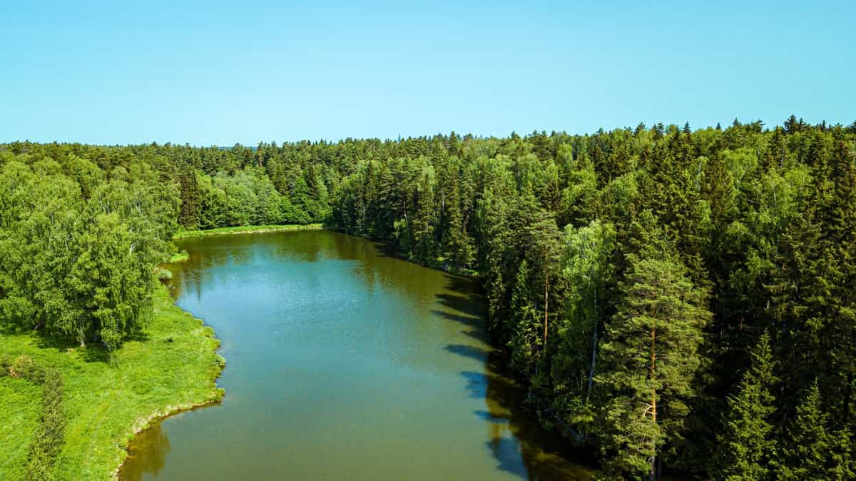 Участок V93, 11 соток, ИЖС, примыкает к хвойному лесу — КП Green Forest Club, Ступино - фото 1