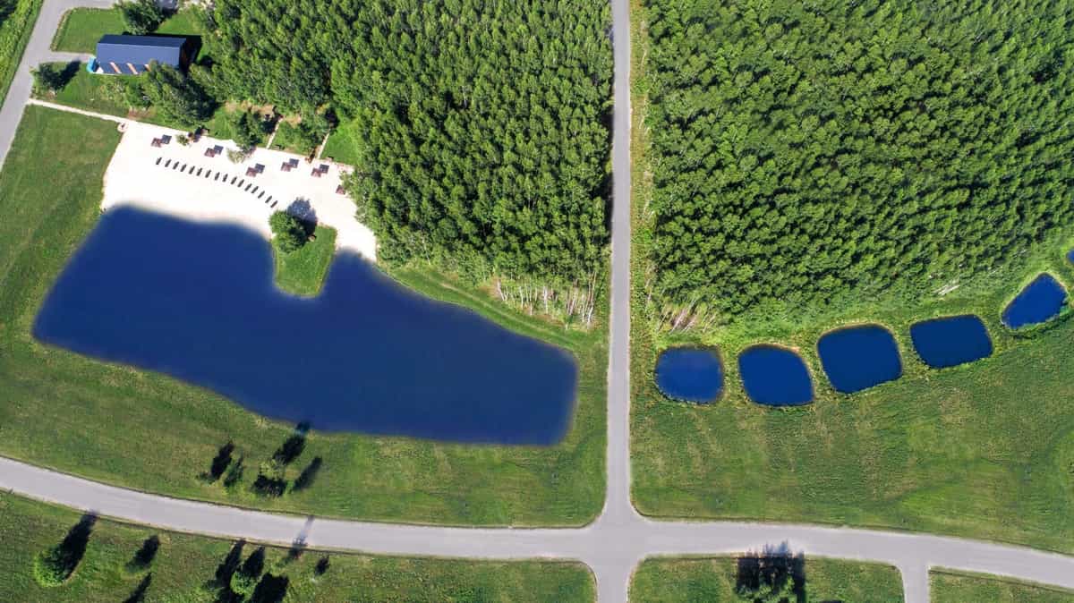 Участок V88, 12,2 соток, ИЖС, с лесными деревьями — КП Green Forest Club, Ступино - фото 1
