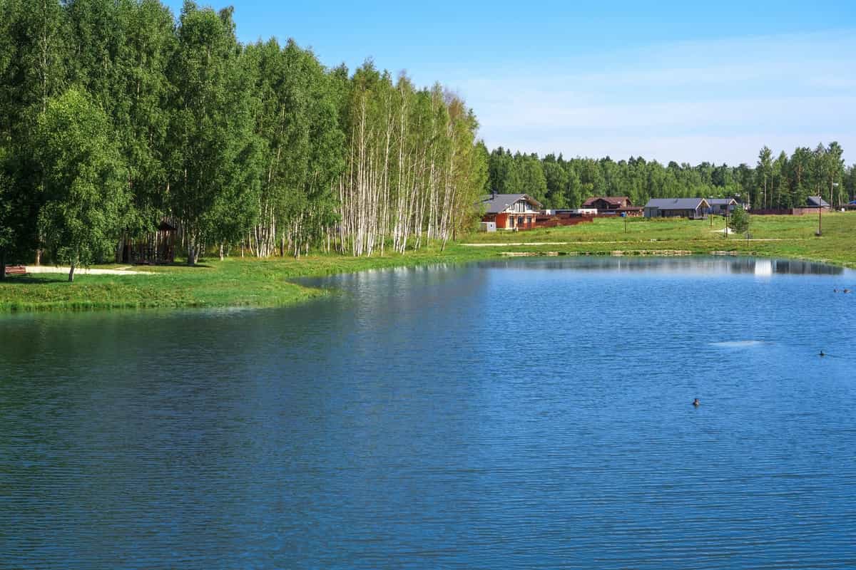 Участок S12, 12 соток, ИЖС, примыкает к хвойному лесу — КП Green Forest Club, Ступино - фото 1