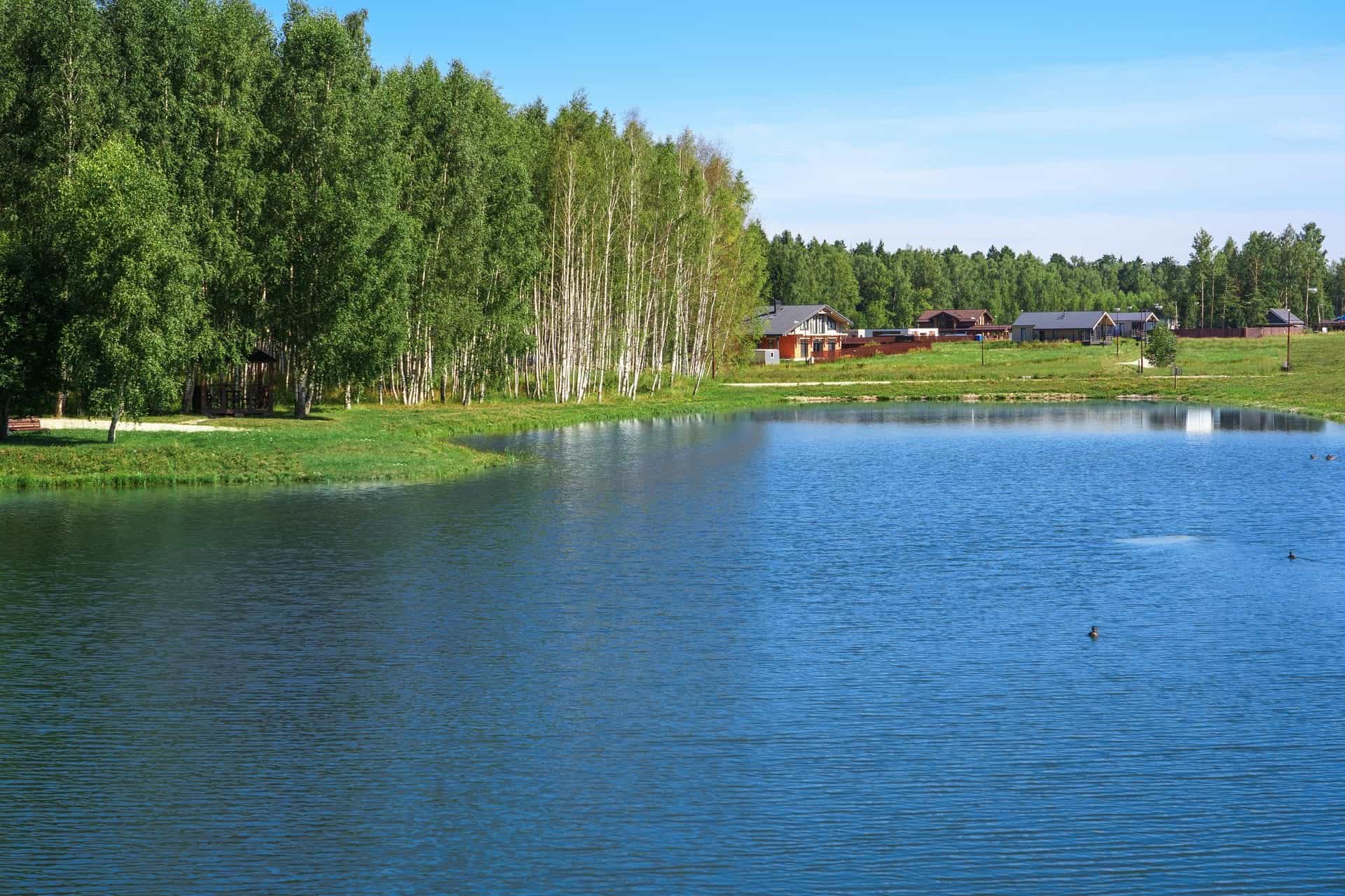 Участок S12, 12 соток, ИЖС, примыкает к хвойному лесу — КП Green Forest Club, Ступино