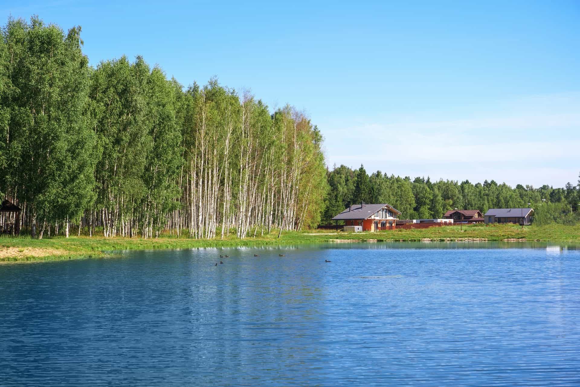 Участок S12, 12 соток, ИЖС, примыкает к хвойному лесу — КП Green Forest Club, Ступино - фото 2