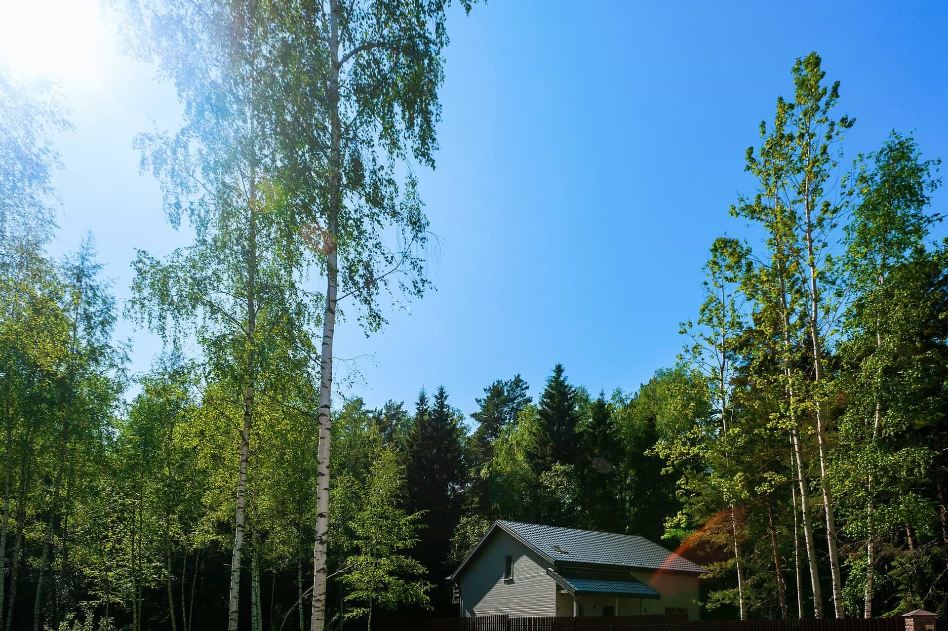 Участок S50, 8 соток, ИЖС — КП Green Forest Club, Ступино - фото 2