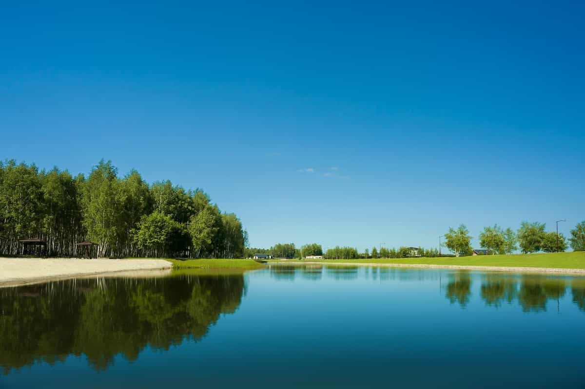 Участок V35, 11 соток, ИЖС, на второй линии от хвойного леса — КП Green Forest Club, Ступино - фото 1