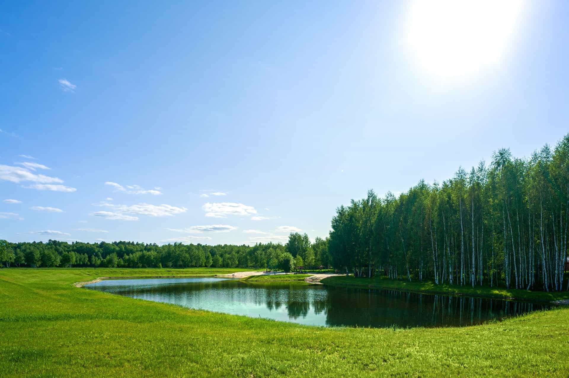 Участок E25, 11 соток, ИЖС, с лесными деревьями — КП Green Forest Club, Ступино - фото 2