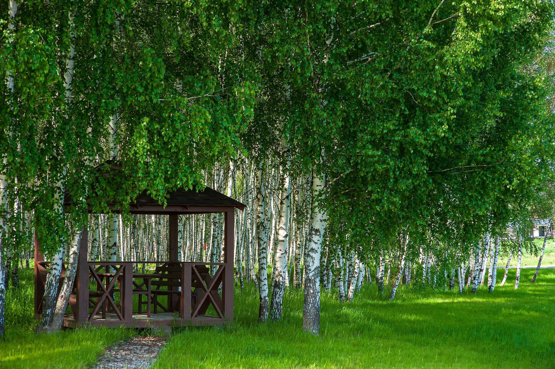 Участок A4, 10 соток, ИЖС, с видом на озеро — КП Green Forest Club, Ступино - фото 2