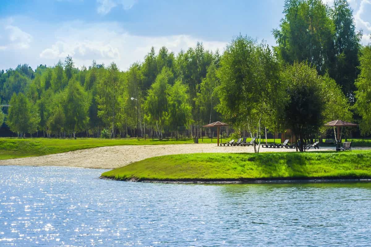 Участок D14, 10 соток, ИЖС, с лесными деревьями — КП Green Forest Park, Ступино - фото 1