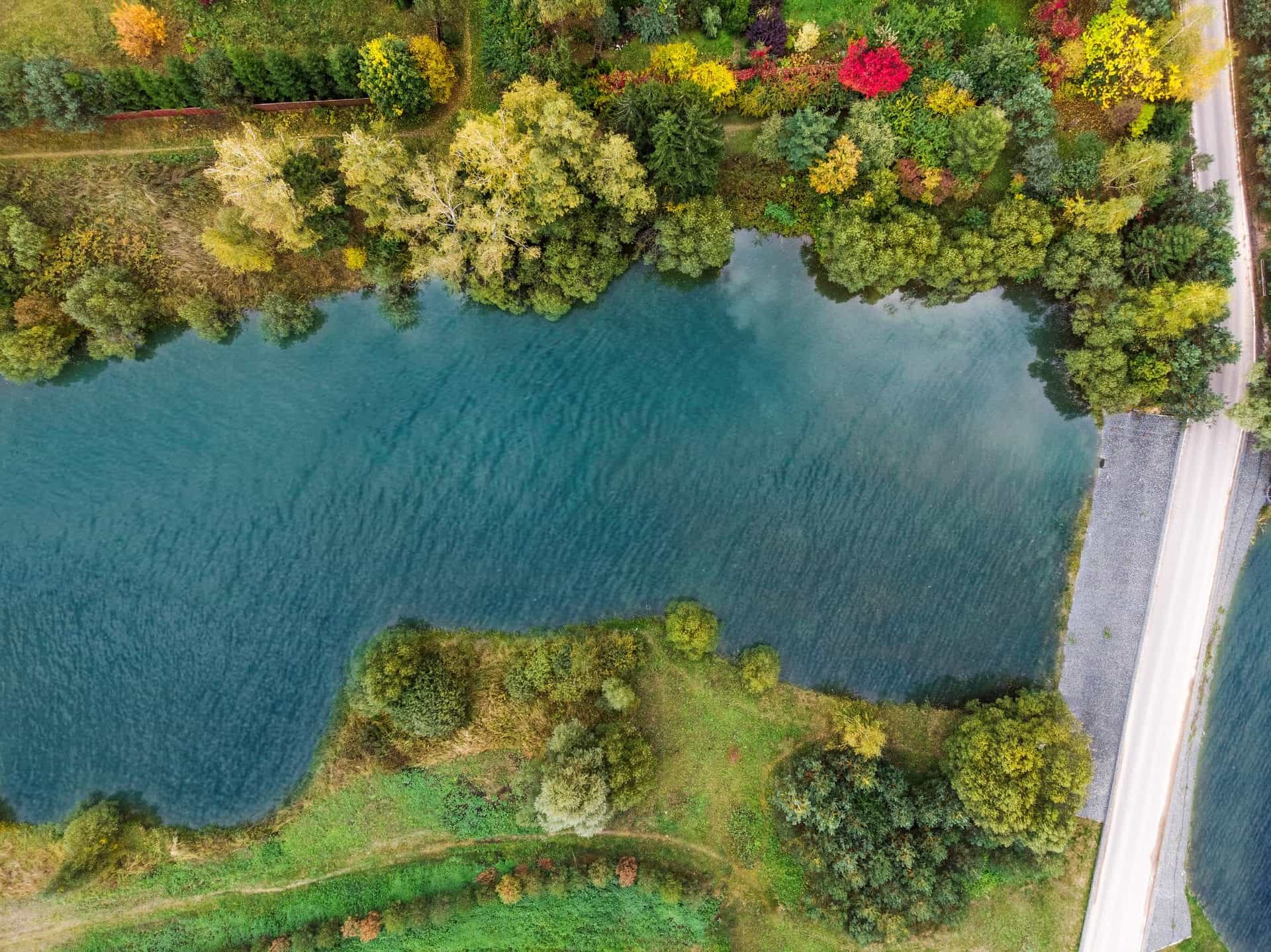 Участок D14, 10 соток, ИЖС, с лесными деревьями — КП Green Forest Park, Ступино - фото 2