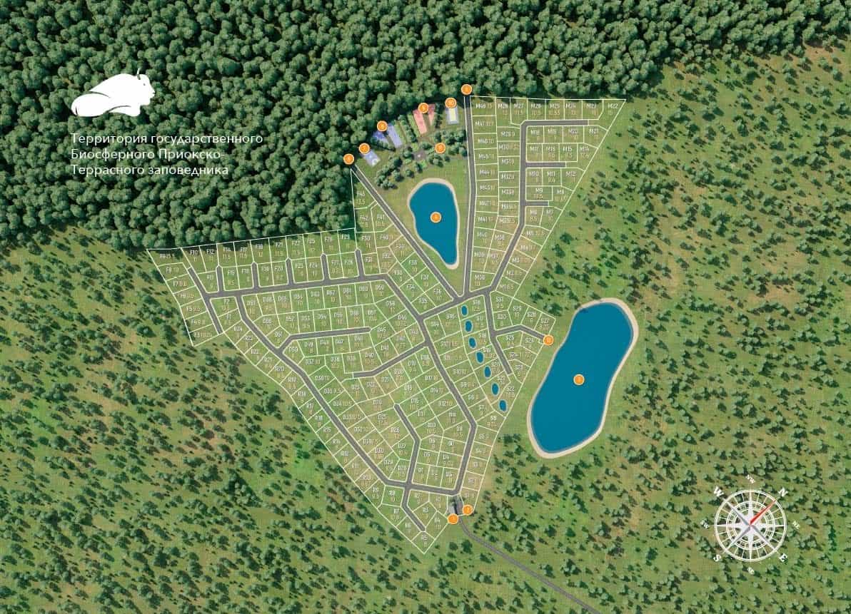 Участок D14, 10 соток, ИЖС, с лесными деревьями — КП Green Forest Park, Ступино - фото 3