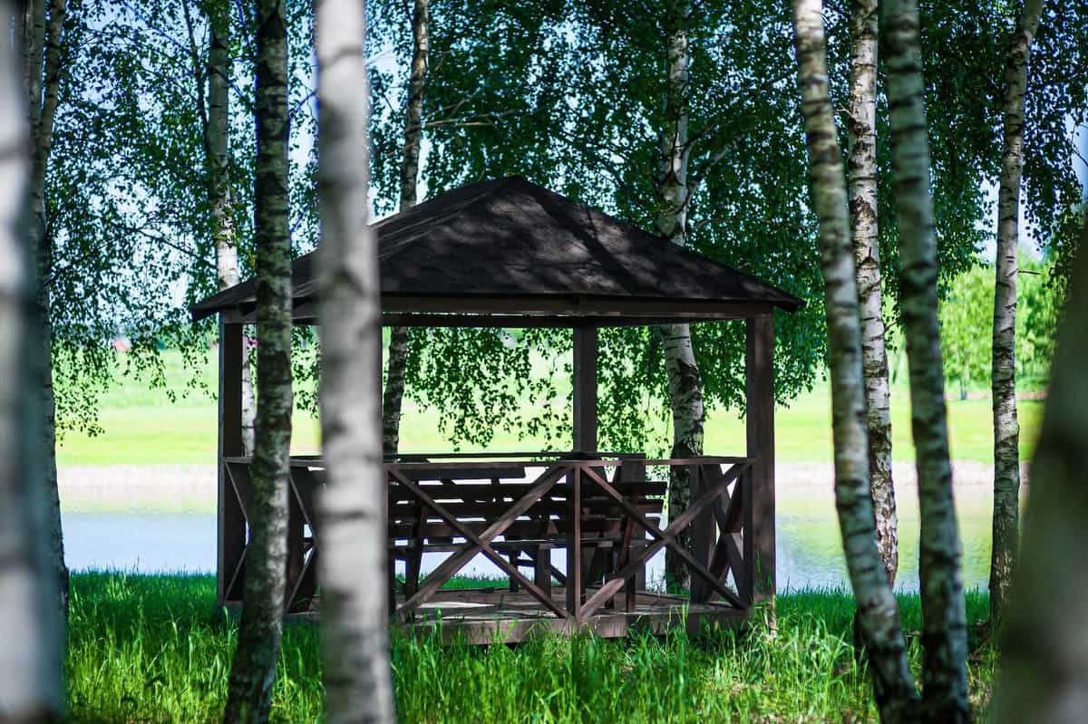 Участок D16, 11,5 соток, ИЖС, с лесными деревьями — КП Green Forest Park, Ступино - фото 1