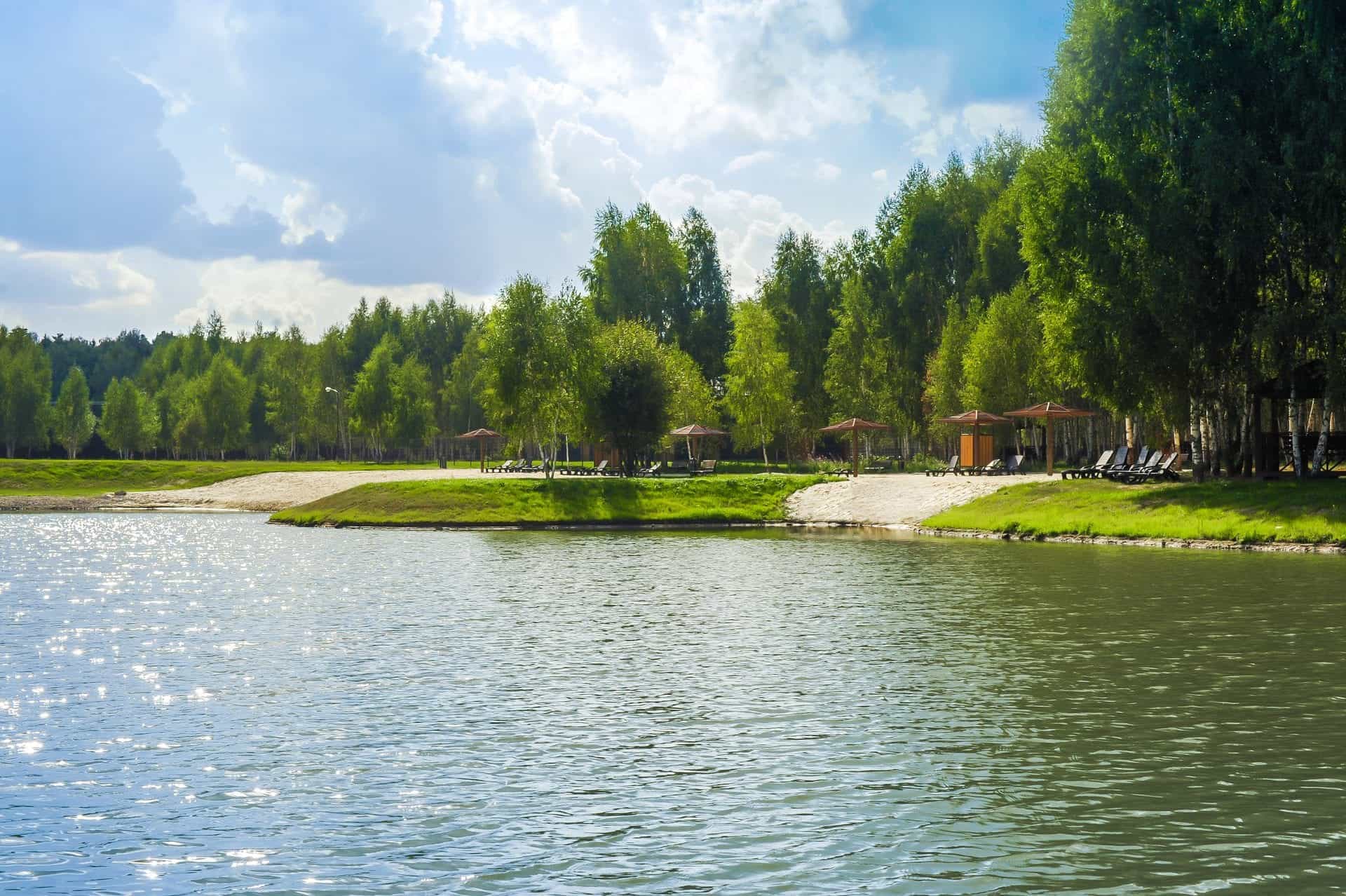 Участок R34, 10 соток, ИЖС, с лесными деревьями — КП Green Forest Premium, Ступино - фото 3