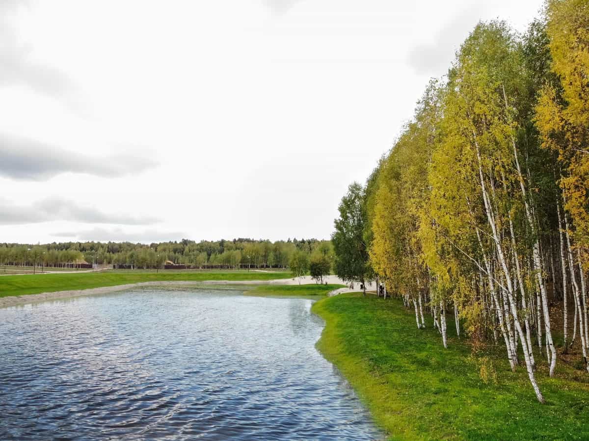 Участок D65, 10 соток, ИЖС, с видом на лес — КП Green Forest Park, Ступино - фото 1