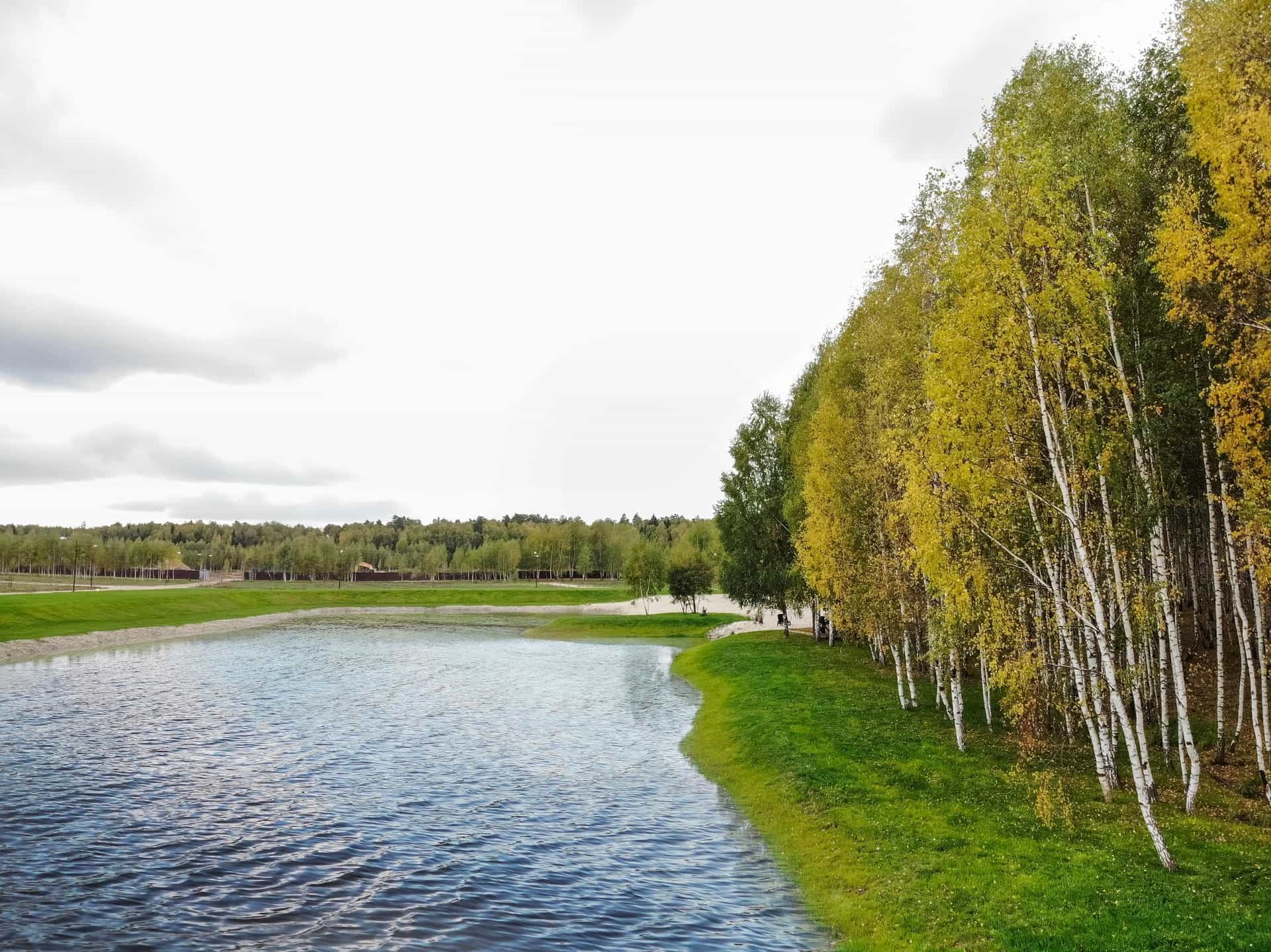 Участок S15, 12,2 соток, ИЖС, с видом на озеро — КП Green Forest Park, Ступино