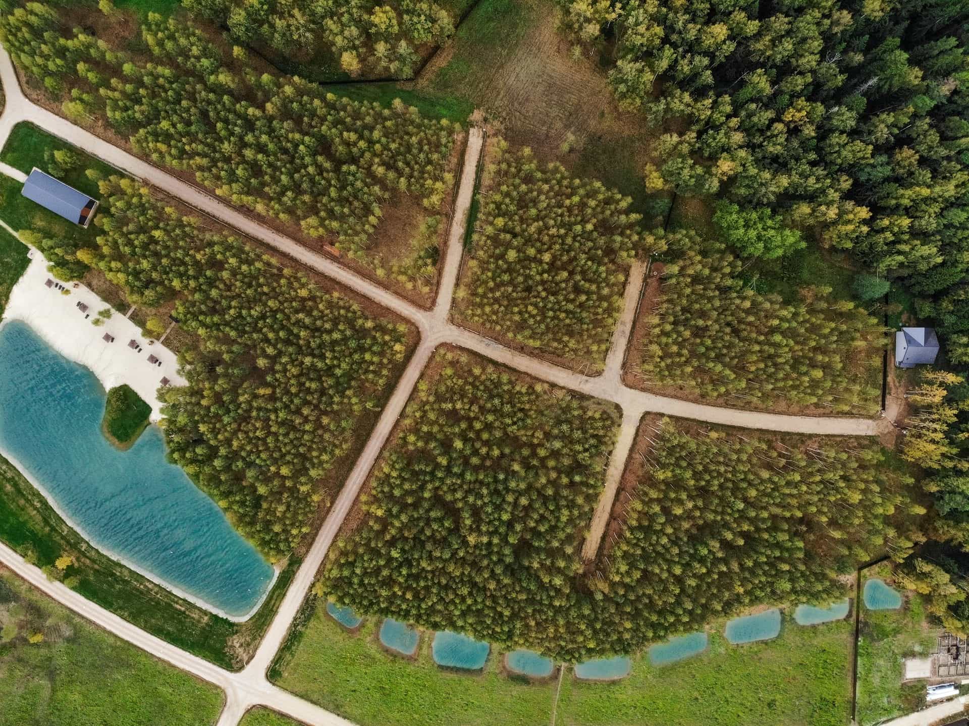 Участок D65, 10 соток, ИЖС, с видом на лес — КП Green Forest Park, Ступино - фото 2