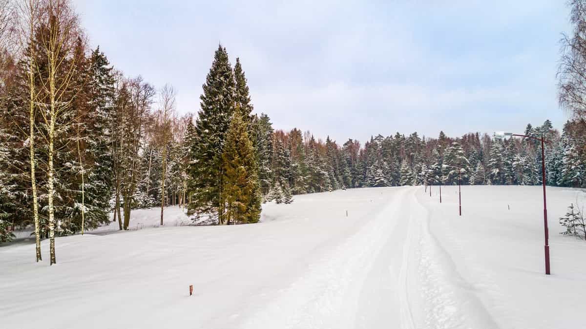 Участок R31, 9 соток, ИЖС, с лесными деревьями — КП Green Forest Premium, Ступино - фото 1