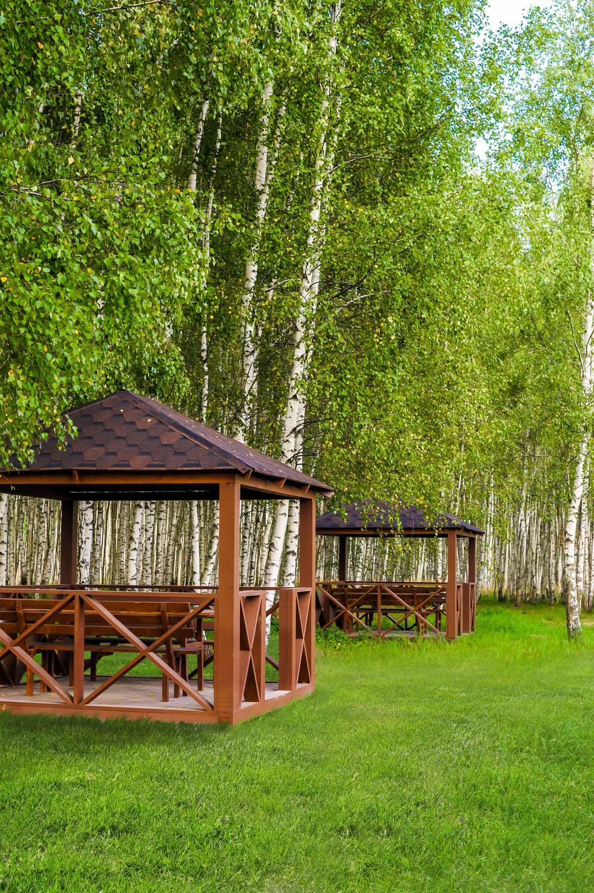 Участок R34, 10 соток, ИЖС, с лесными деревьями — КП Green Forest Premium, Ступино - фото 1