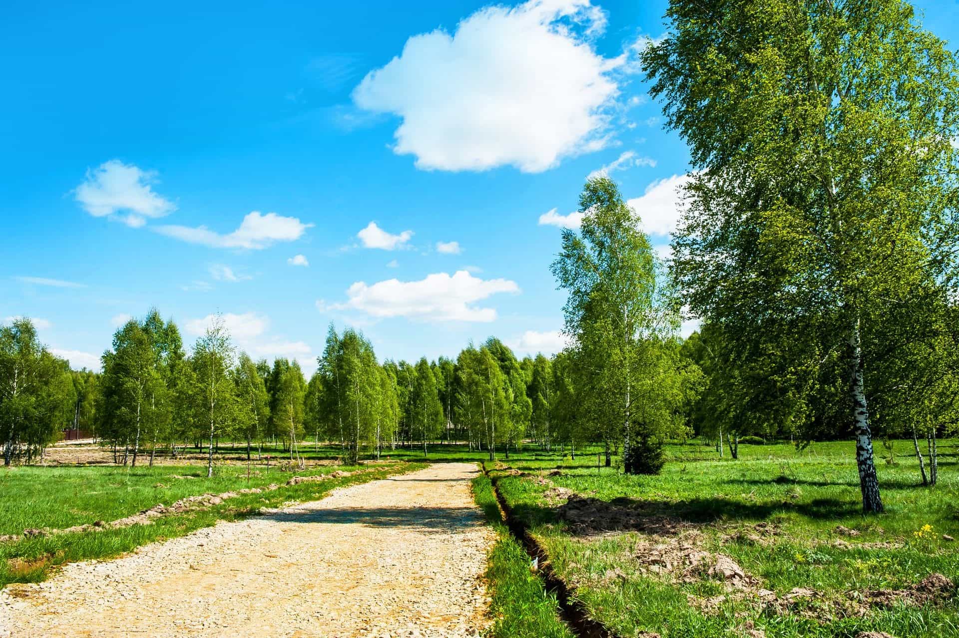 Участок R34, 10 соток, ИЖС, с лесными деревьями — КП Green Forest Premium, Ступино - фото 2