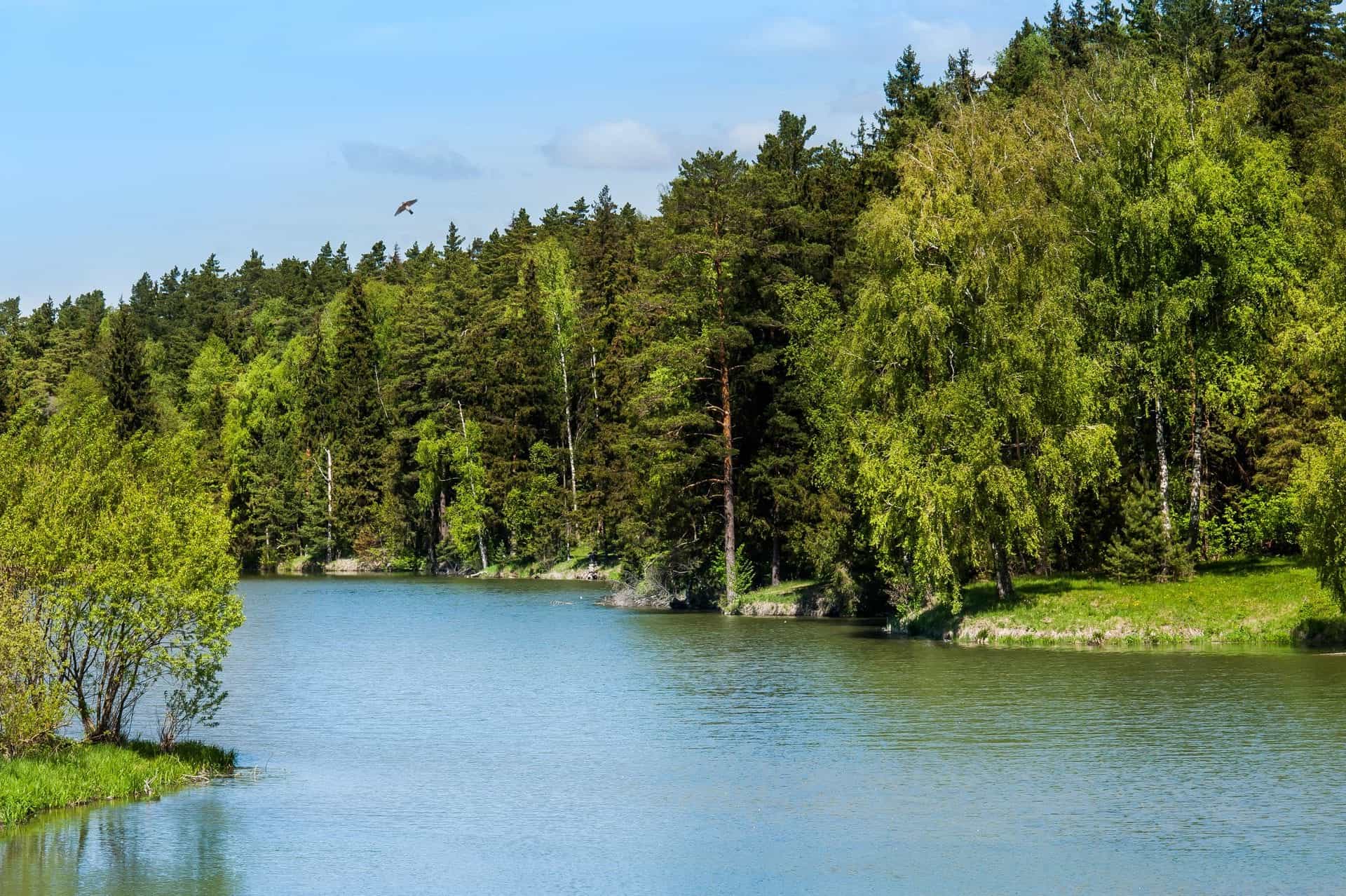 Участок R40, 10,27 соток, ИЖС, с лесными деревьями — КП Green Forest Premium, Ступино - фото 2