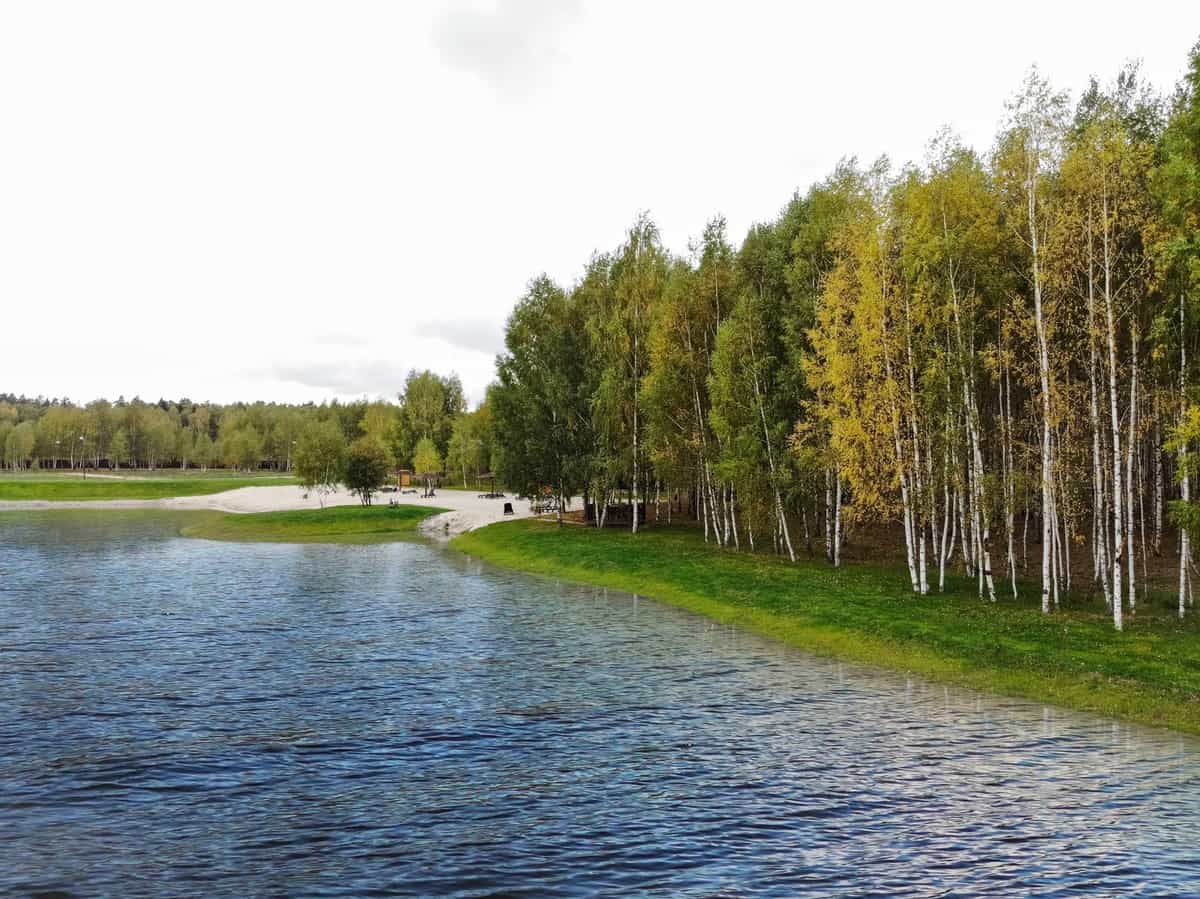 Участок P23, 9 соток, ИЖС, с лесными деревьями — КП Green Forest Premium, Ступино - фото 1