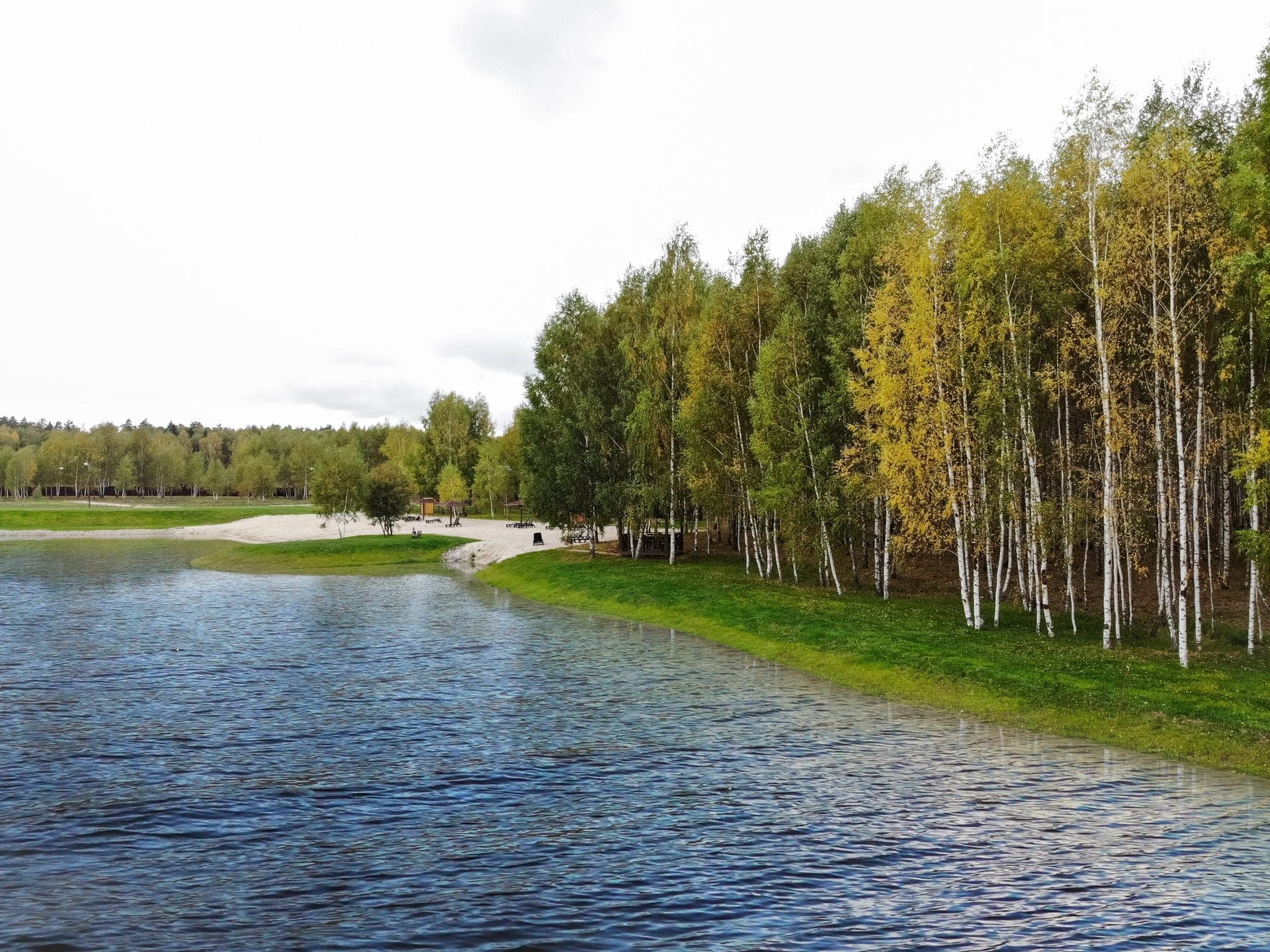 Участок N40, 9,65 соток, ИЖС, с лесными деревьями — КП Green Forest Premium, Ступино