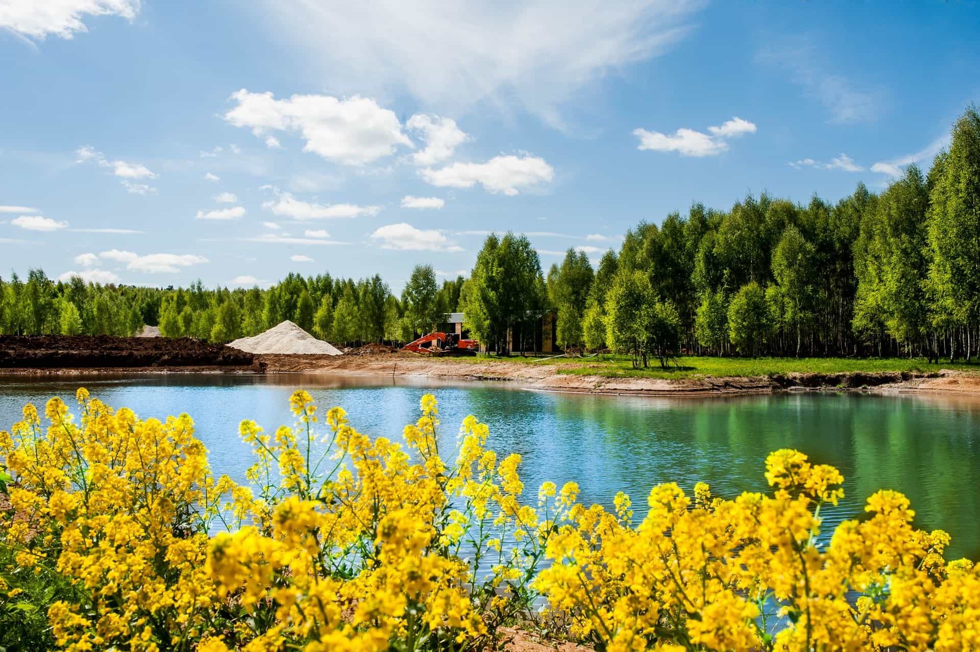 Участок P23, 9 соток, ИЖС, с лесными деревьями — КП Green Forest Premium, Ступино - фото 2