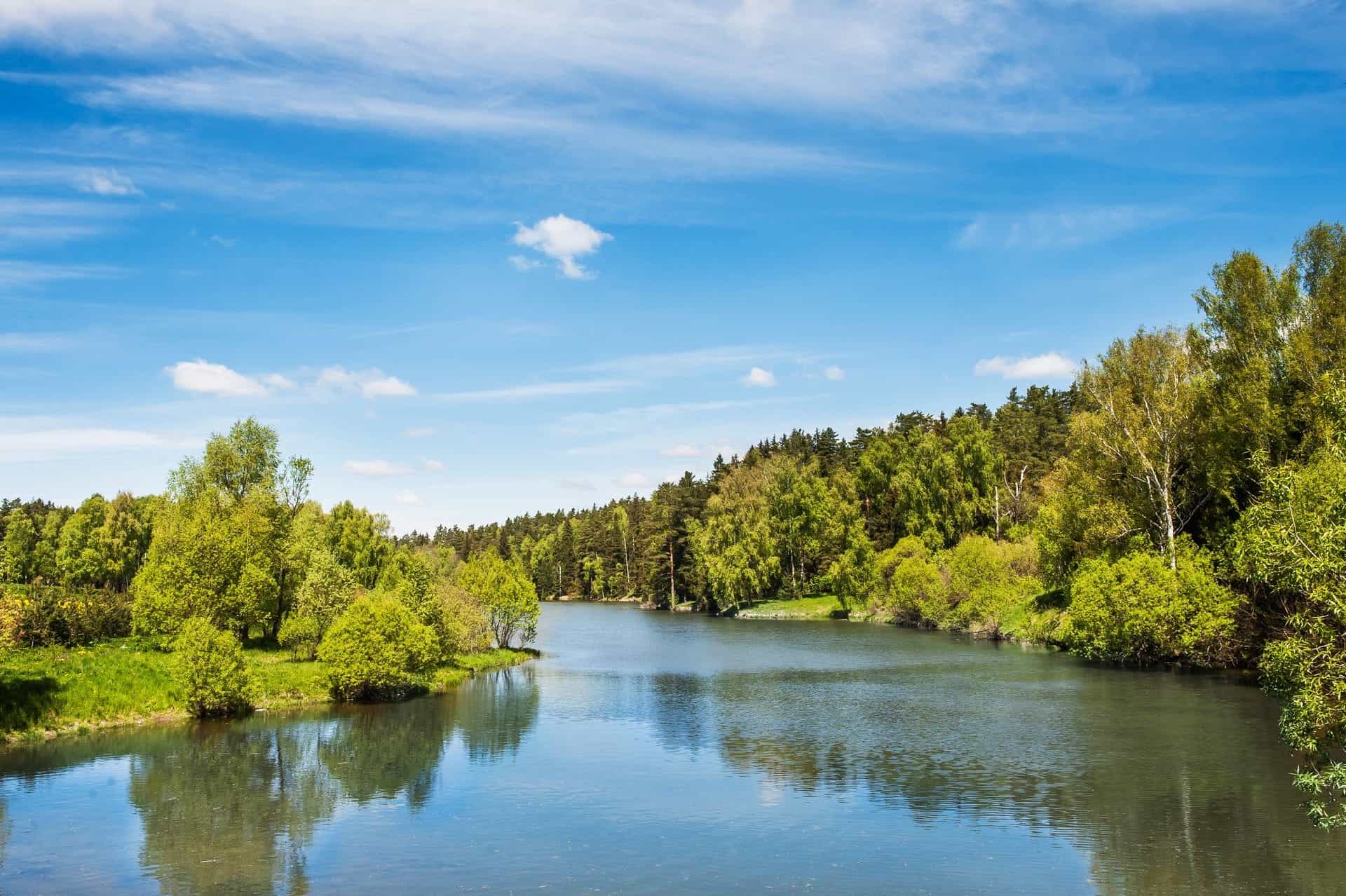 Участок W18, 9,3 соток, ИЖС, с лесными деревьями — КП Green Forest Premium, Ступино - фото 2