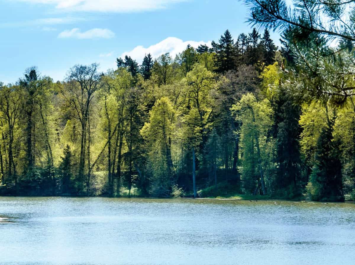 Участок C8, 11,5 соток с выходом в лес — КП Green River, Ступино - фото 1