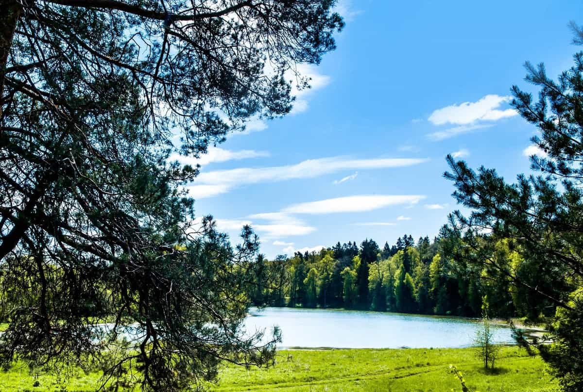 Участок B46, 11 соток с выходом в лес — КП Green River, Ступино - фото 1
