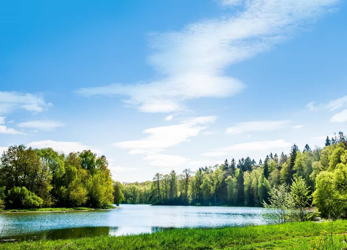 Участок F25, 12,58 соток лес на участке — КП Green River, Ступино - фото 1