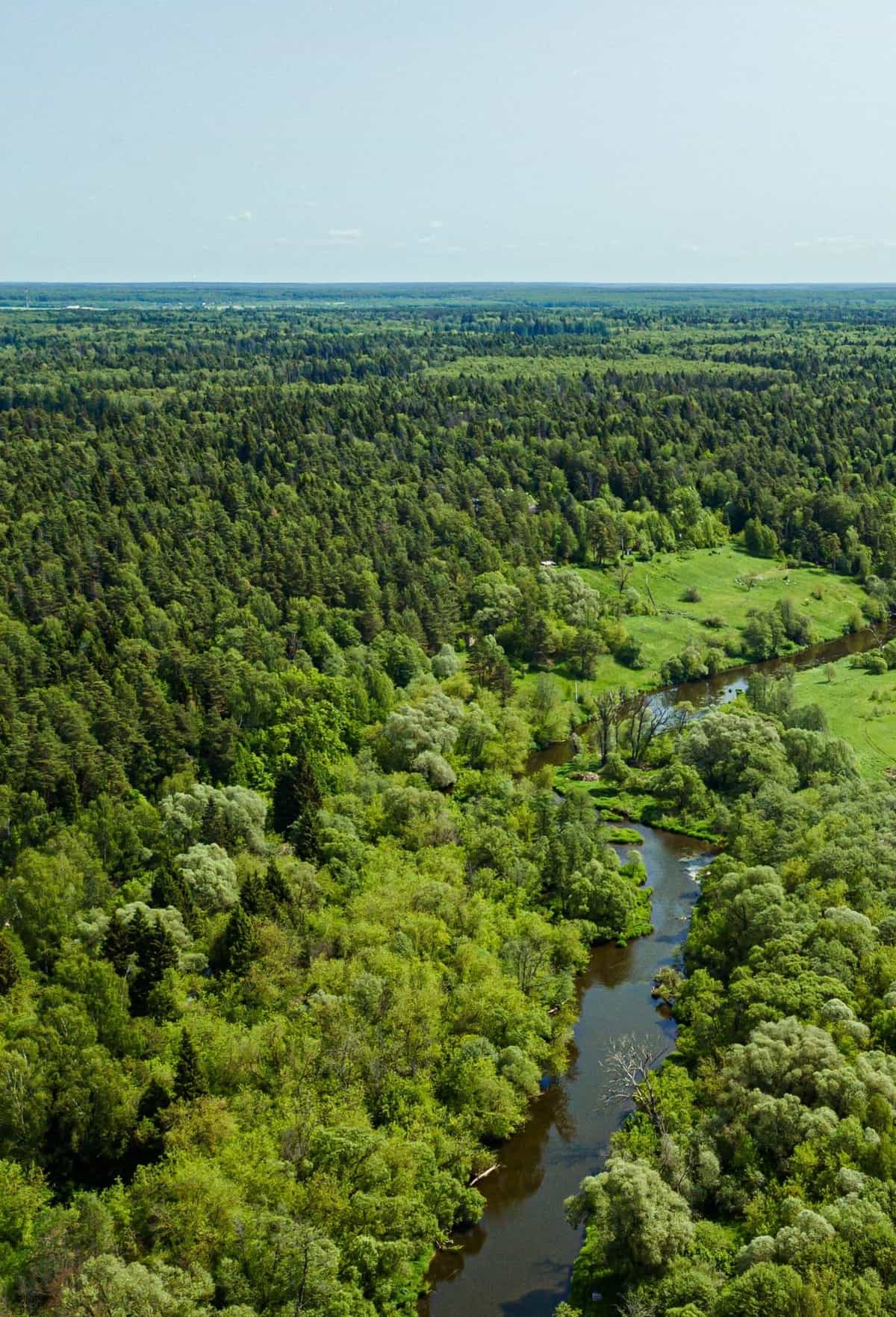Участок C41, 12 соток с видом на лес — КП Green River, Ступино - фото 1