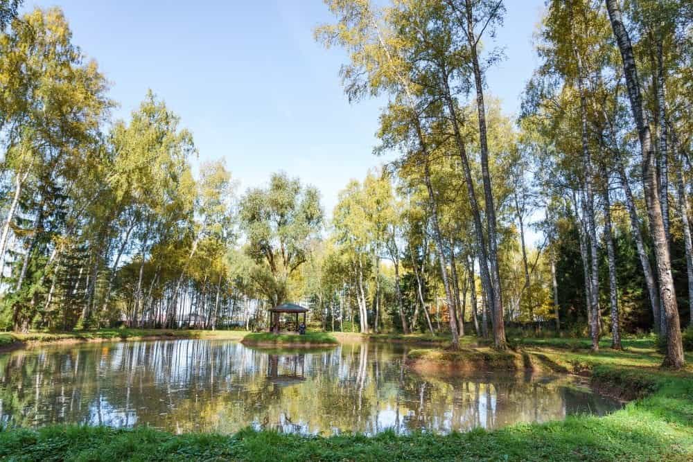 Участок C44, 9,27 соток с видом на лес — КП Green River, Ступино - фото 1