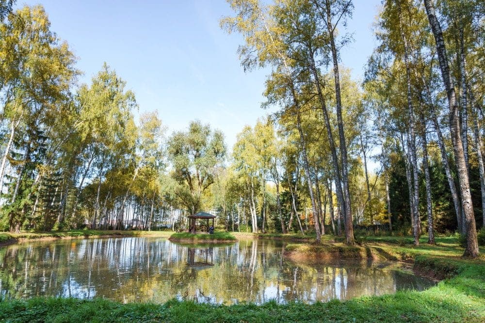 Участок B14, 11 соток с выходом в парк — КП Green River, Ступино
