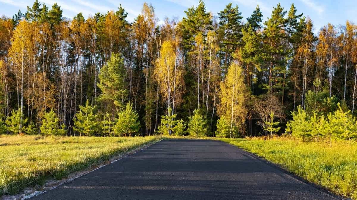 Участок C3, 10,1 соток с выходом в лес — КП Green River, Ступино - фото 1