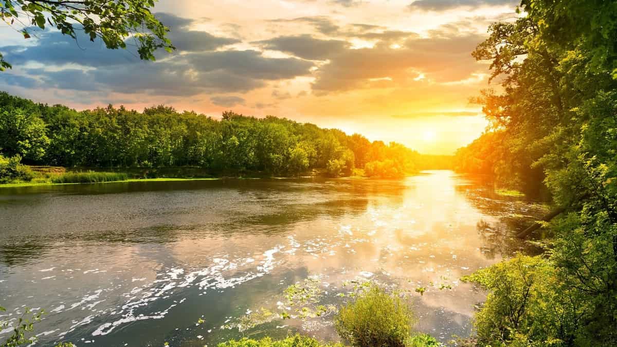 Участок B18, 13 соток с выходом в парк — КП Green River, Ступино - фото 1
