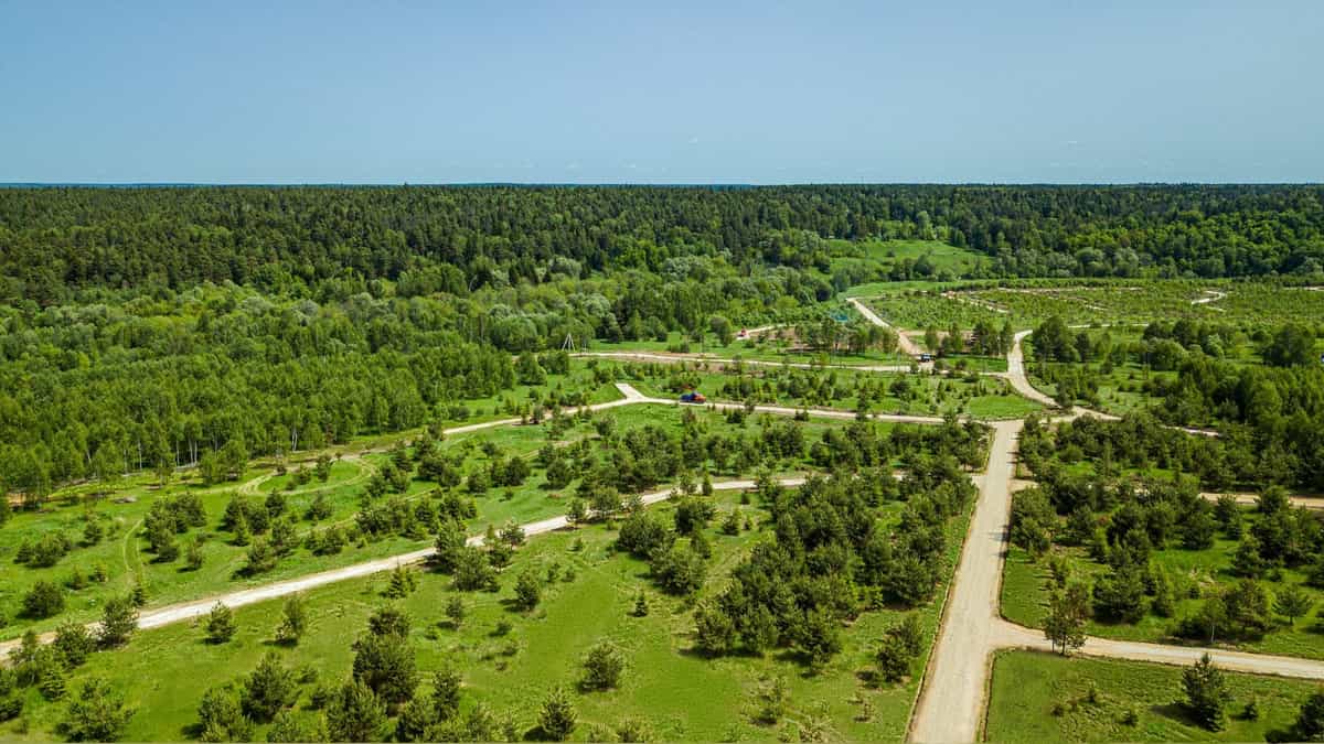 Участок L37, 11,8 соток, сосны на участке — КП Panorama River, Ступино - фото 1