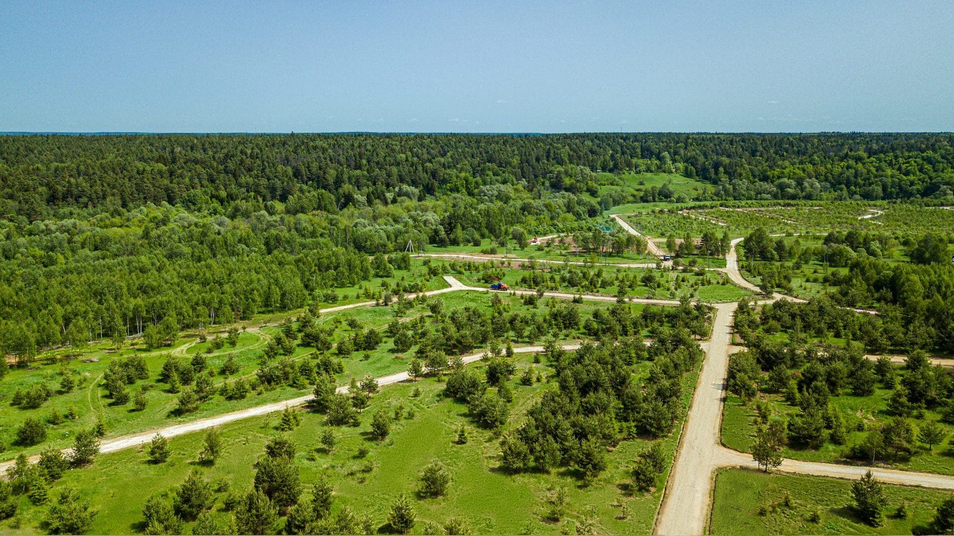 Участок L14, 10 соток, сосны на участке — КП Panorama River, Ступино