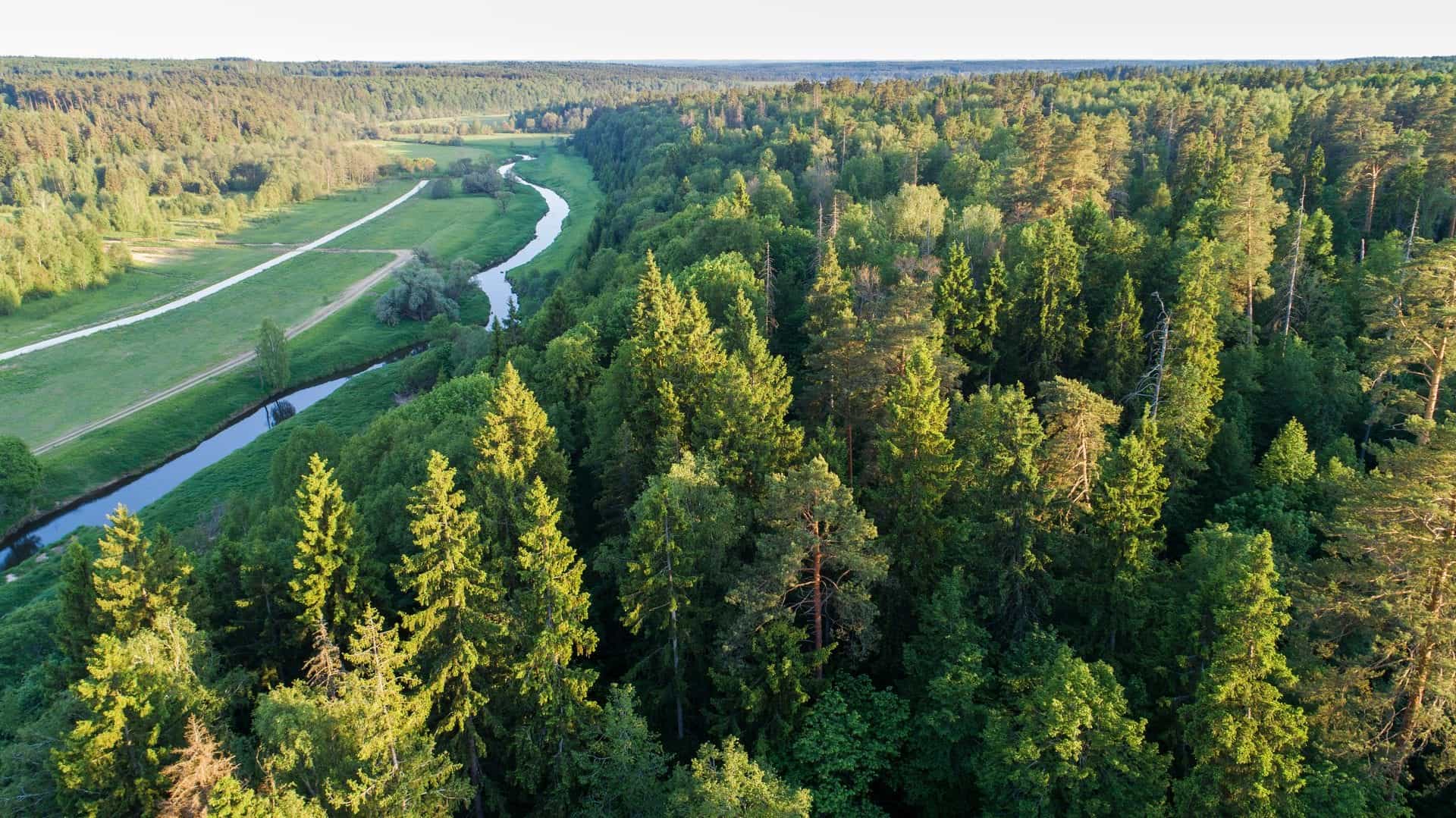 Участок D40, 9,6 соток — КП River Park, д. Лапино, Ступино