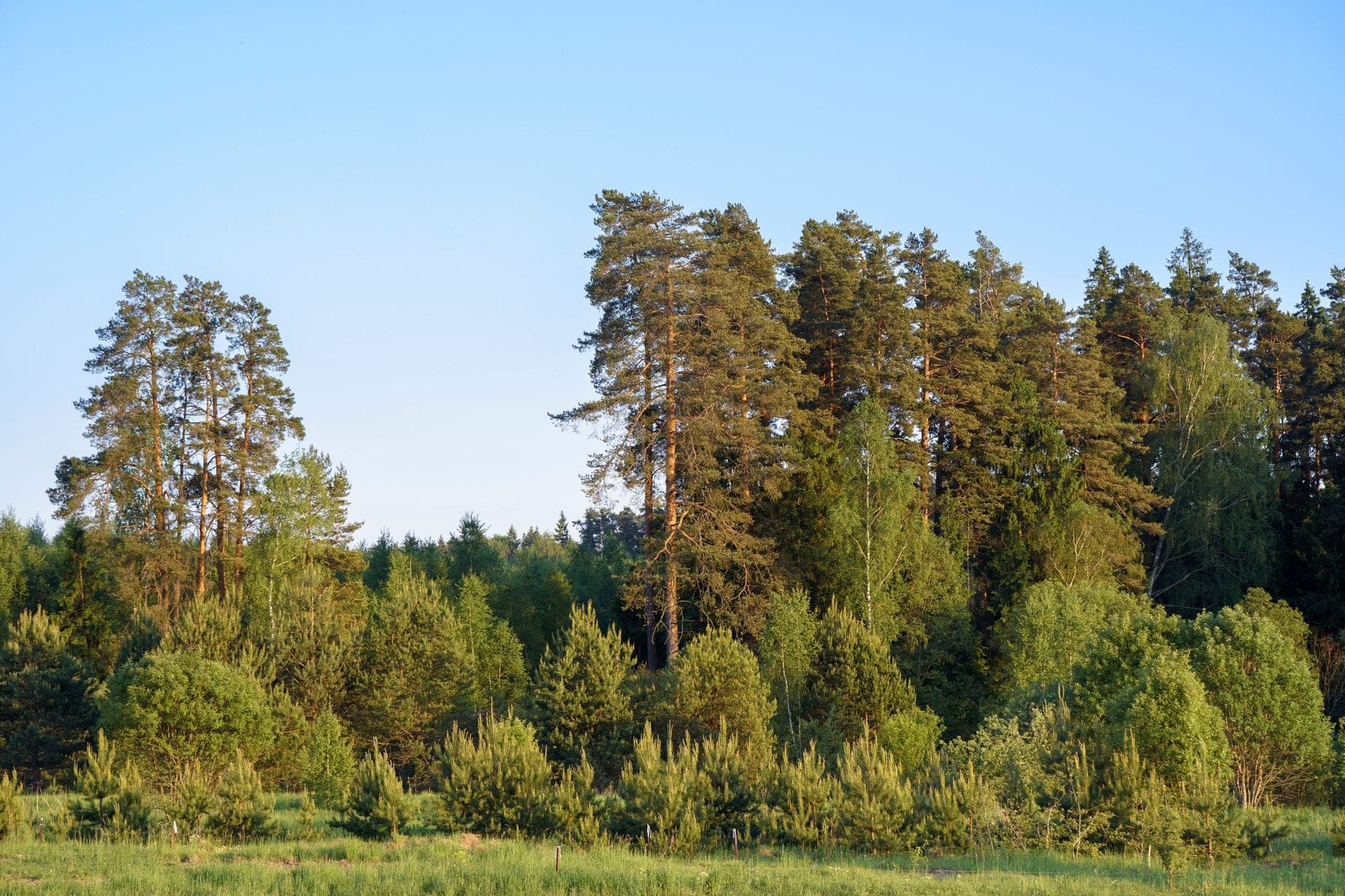 Участок E6, 10,5 соток — КП River Park, д. Лапино, Ступино