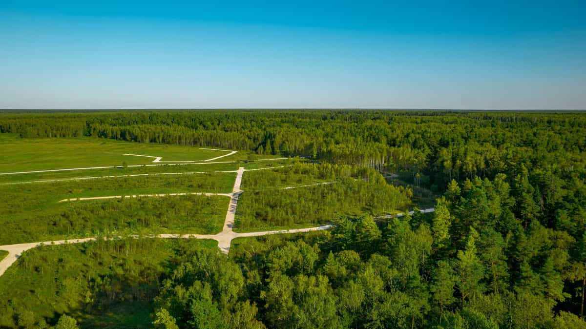 Участок S32, 12 соток у леса — КП River Wood, Ступино - фото 1