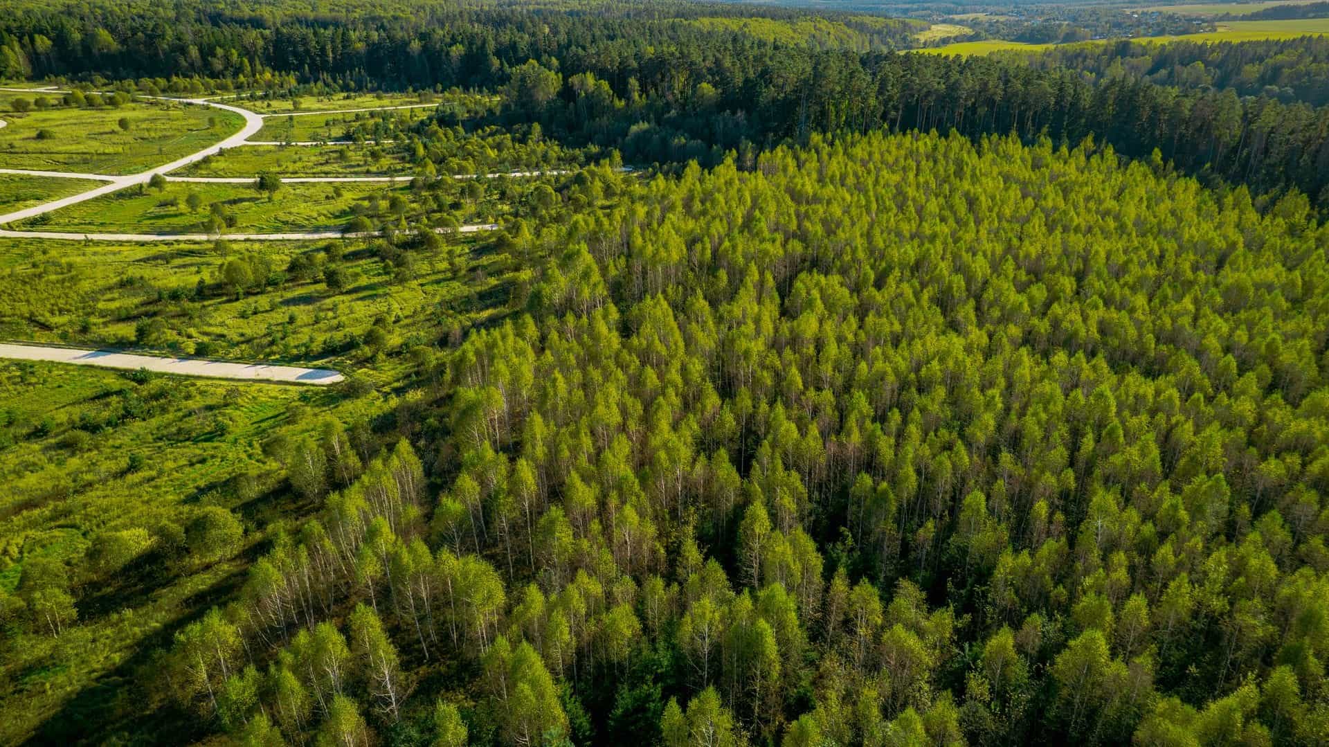 Участок S28, 9 соток у леса — КП River Wood, Ступино