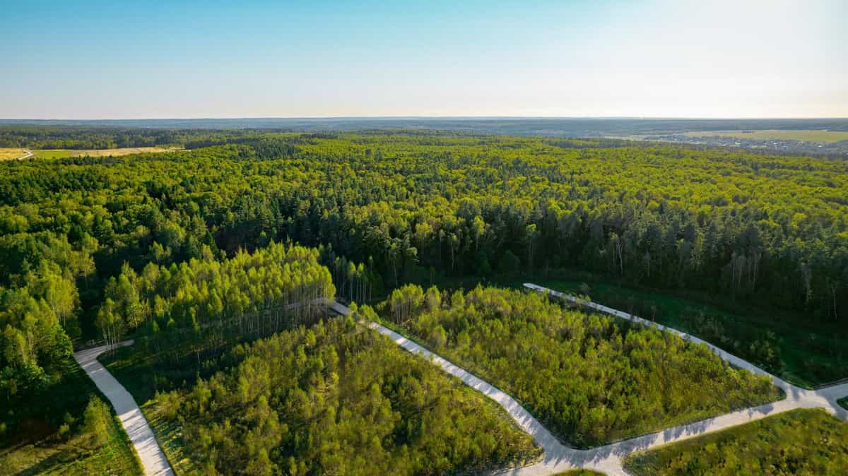 Участок S23, 9,5 соток у леса — КП River Wood, Ступино - фото 1