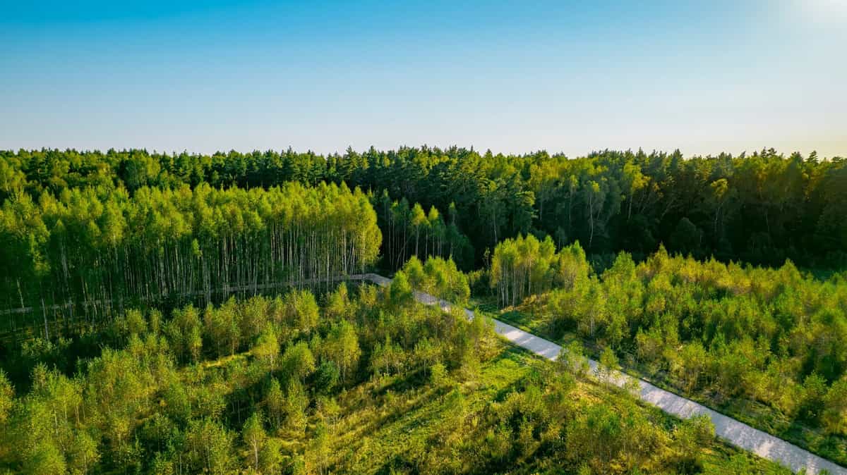 Участок S31, 9,14 соток у леса — КП River Wood, Ступино - фото 1