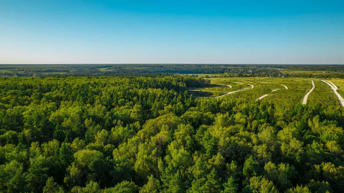 Участок L58, 11,5 соток у леса — КП River Wood, Ступино - фото 1