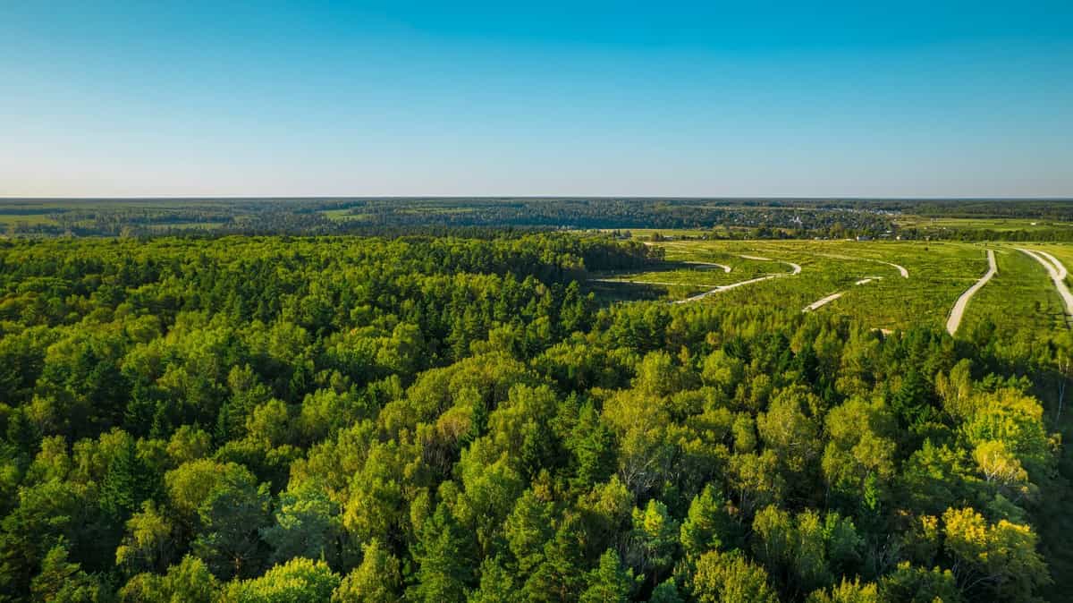 Участок S58, 11,5 соток у леса — КП River Wood, Ступино - фото 1