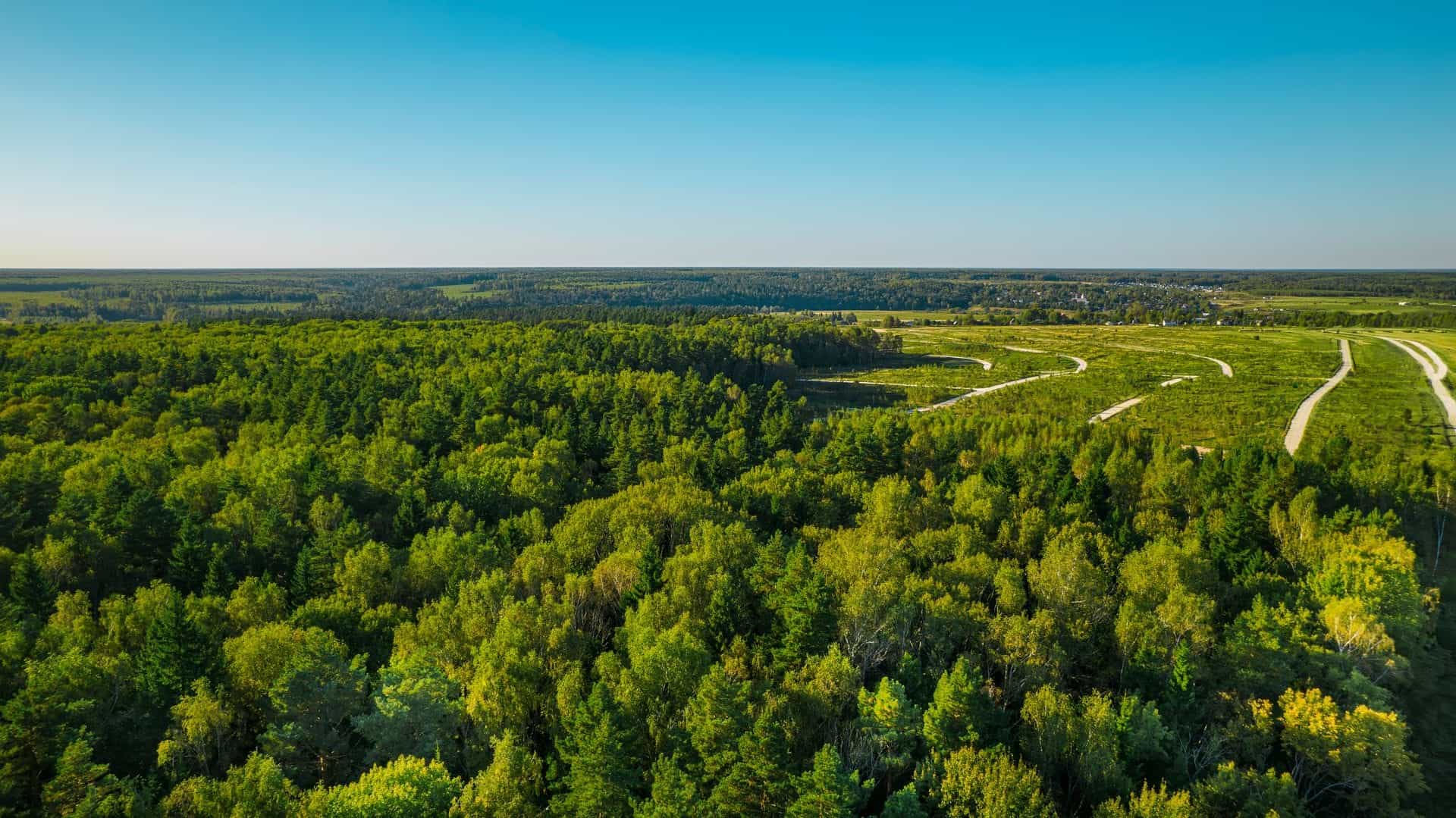 Участок S36, 9,5 соток у леса — КП River Wood, Ступино