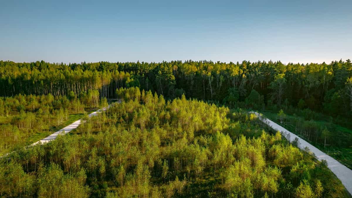 Участок K17, 11,62 соток у леса — КП River Wood, Ступино - фото 1