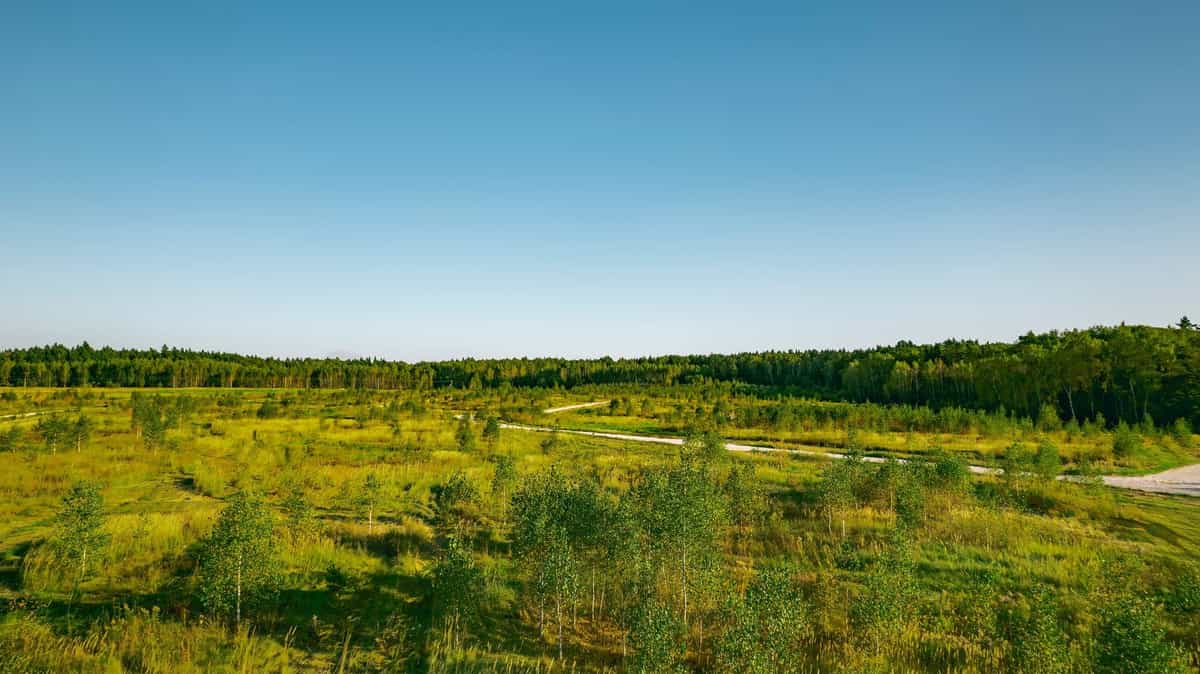 Участок L56, 8 соток у леса — КП River Wood, Ступино - фото 1
